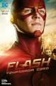 Flash: Temporada cero #12