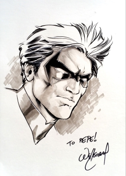 Nightwing de Will Conrad