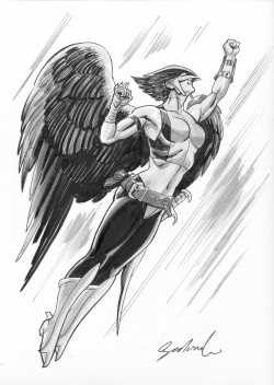 Hawkgirl de Stephen Sadowski