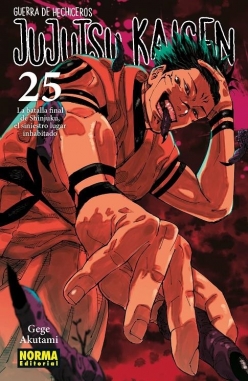 Jujutsu Kaisen #25