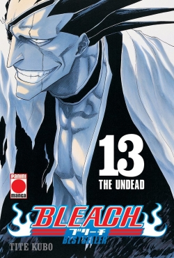 Bleach (bestseller) v1 #13