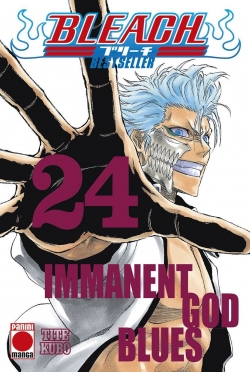 Bleach (bestseller) v1 #24