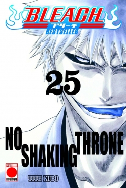 Bleach (bestseller) v1 #25