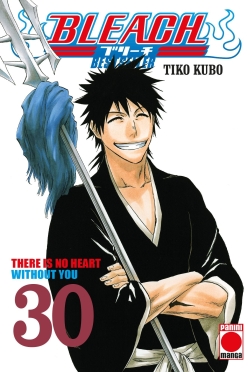 Bleach (bestseller) v1 #30