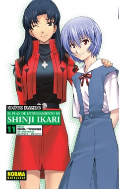 Neogénesis Evangelion. El plan de entrenamiento de Shinji Ikari #11