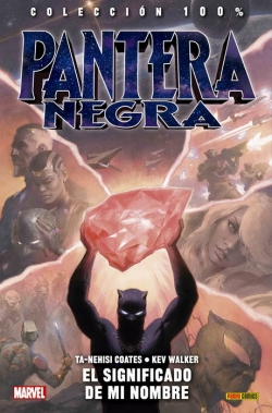 Pantera Negra #2. El significado de mi nombre