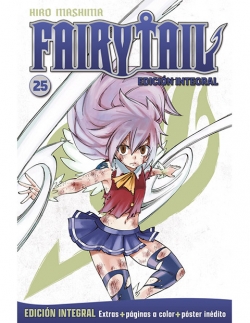 Fairy Tail #25