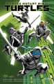 Teenage Mutant Ninja Turtles #1. Regreso a Nueva York