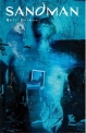 Sandman #8