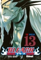 Bleach #13