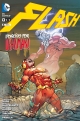 Flash #8