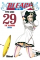 Bleach #29