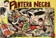 Pantera Negra