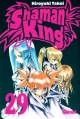 Shaman King #29