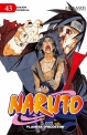 Naruto #43